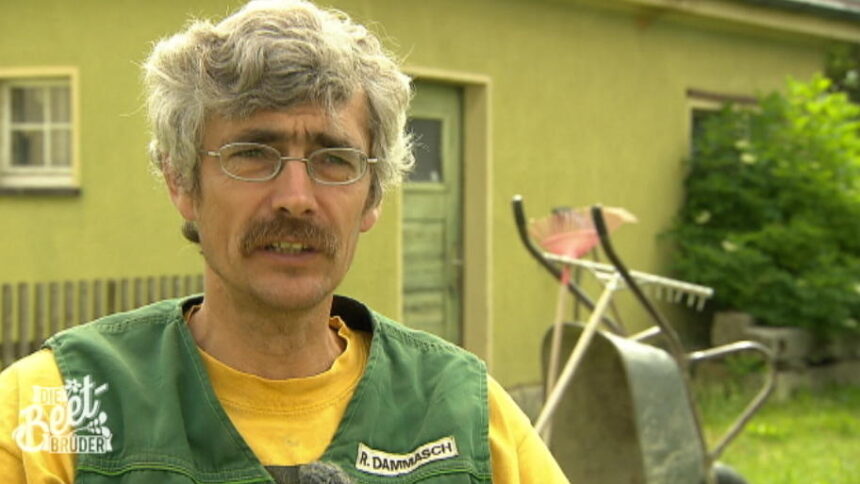ralf dammasch